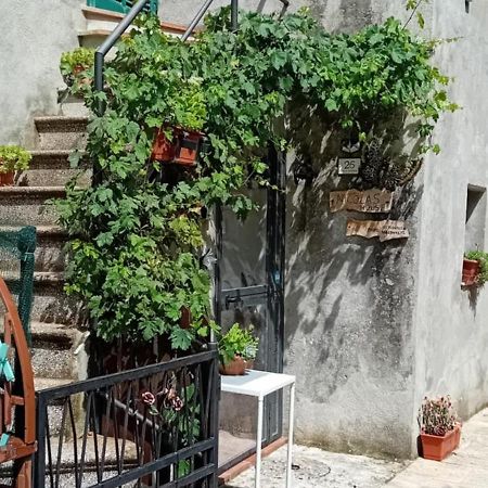 Nicolas House Campiglia dʼOrcia Dış mekan fotoğraf