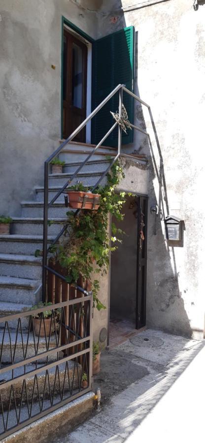 Nicolas House Campiglia dʼOrcia Dış mekan fotoğraf