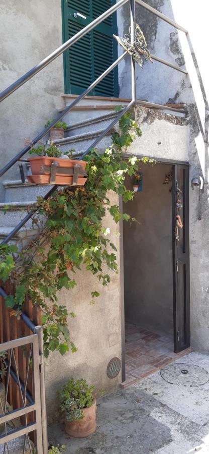 Nicolas House Campiglia dʼOrcia Dış mekan fotoğraf