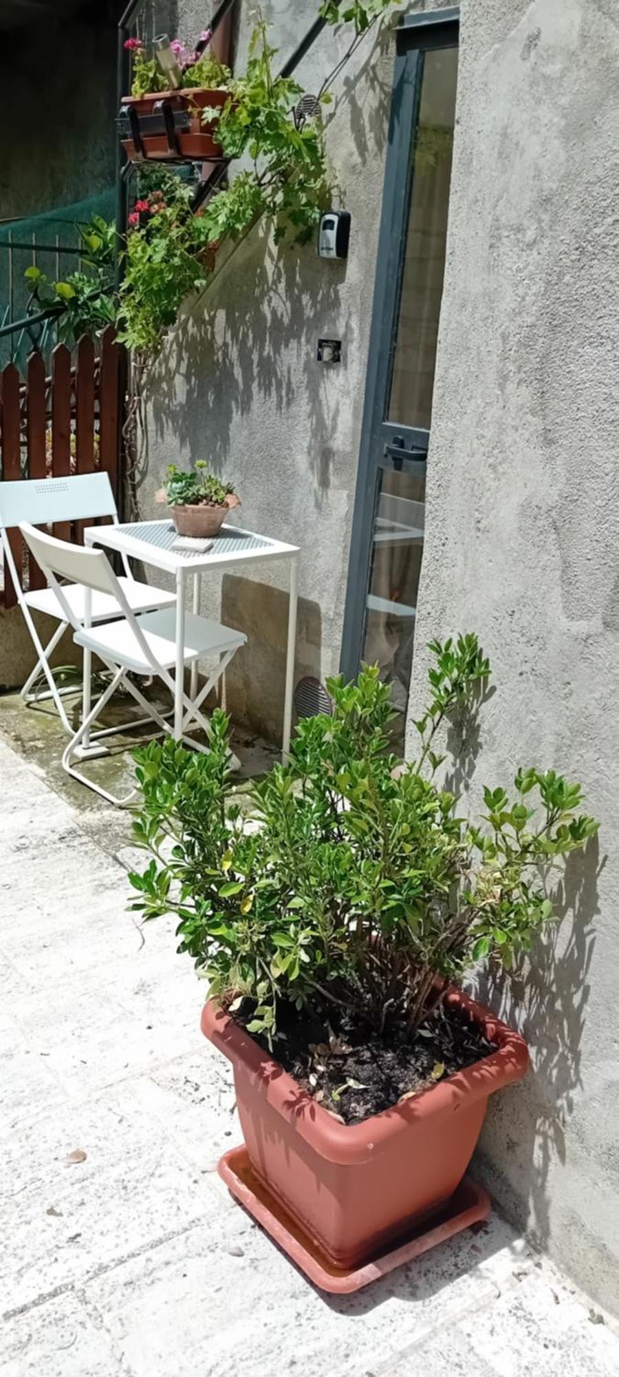 Nicolas House Campiglia dʼOrcia Dış mekan fotoğraf